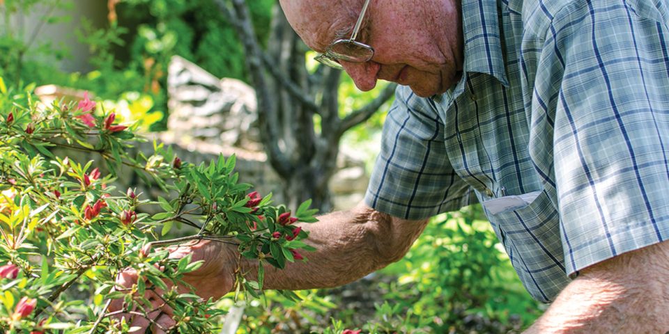 Carolina Village Gardening