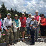 Hiking RoanMountain