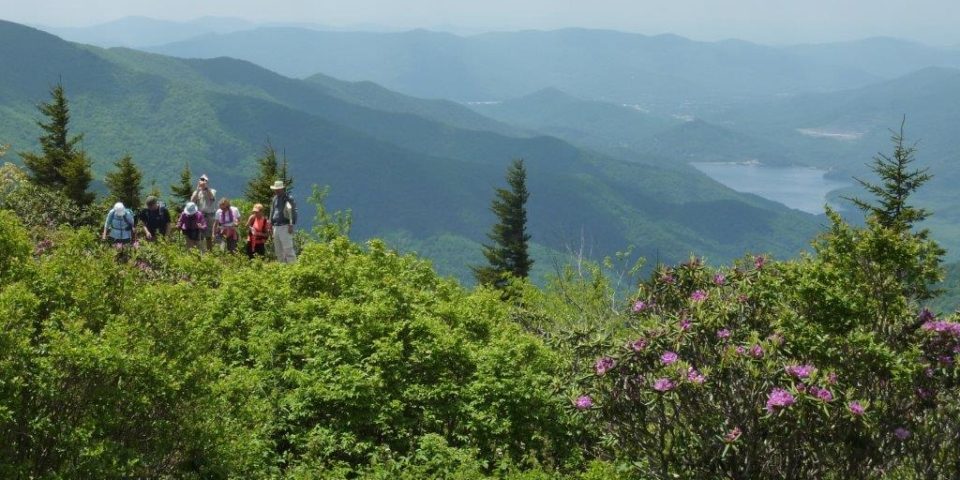 Jeanne Reno Hiking View